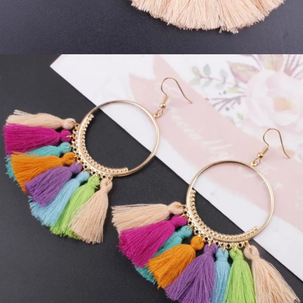 Multi-colored Tassel earrings.